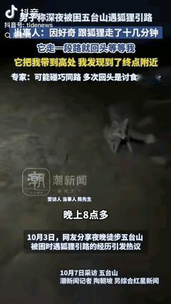 “解释不清了！”山西一男子深夜困在五台山，充电宝没电、手机快关机，正愁走不出去，