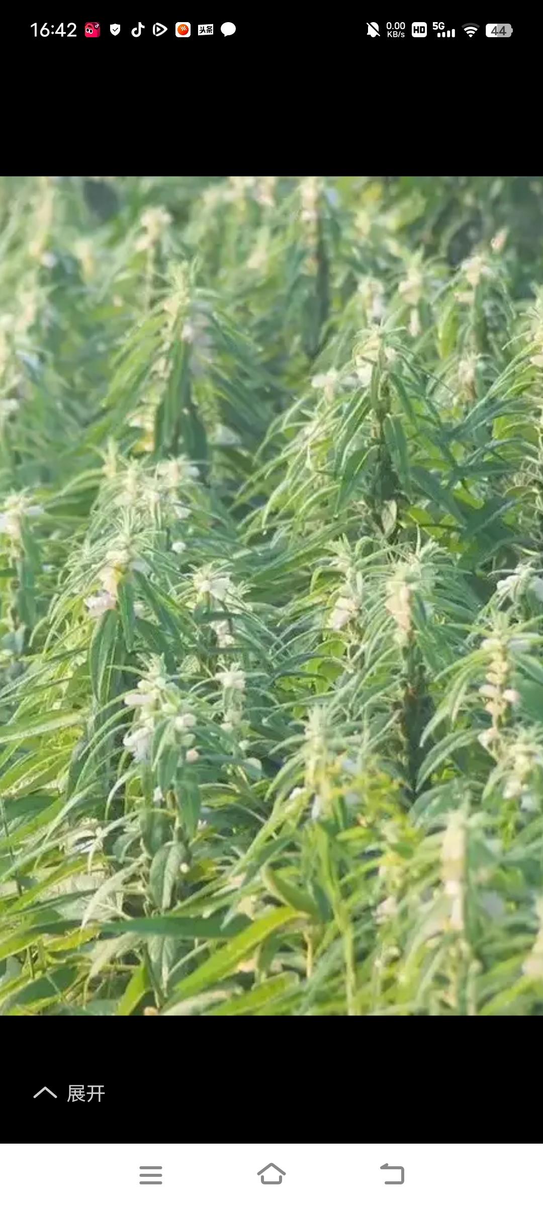 秋日生活打卡季