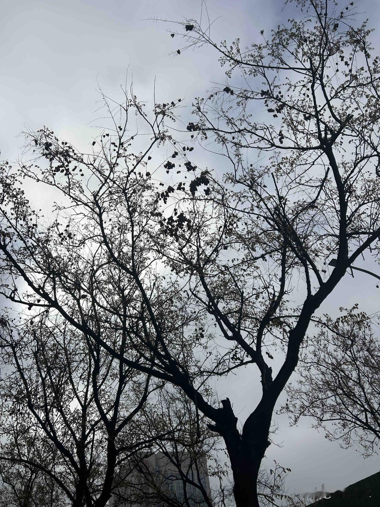 婚内男女，只要是对孩子不上心的，大概率都会出轨。

想想一个孩子从呱呱坠地到抚养