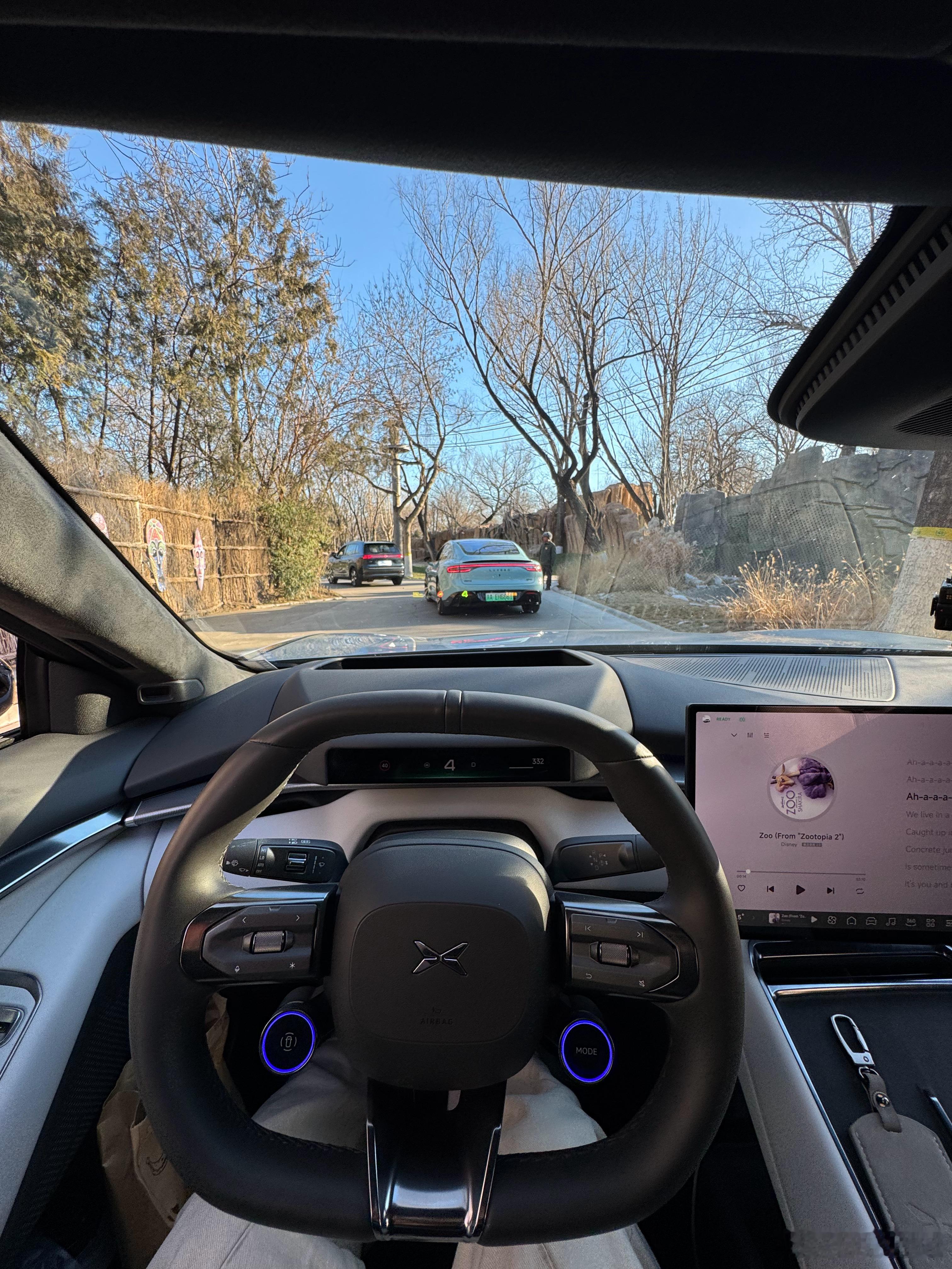 两个袋鼠干架干的贼起劲 北京·北京野生动物园