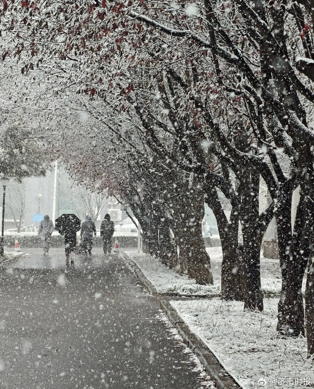 【#山东雪窝子再再再迎降雪#】#有一种美叫山东下雪了# 山东省气象台今天下午预报