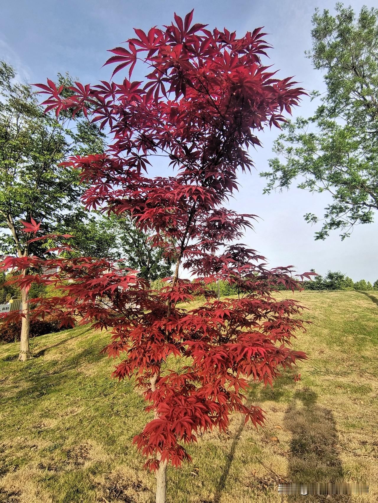 抛开钱,你现在最需要的是什么?

抛开钱我不乐意
处处需要人民币
吃喝拉撒需要钱