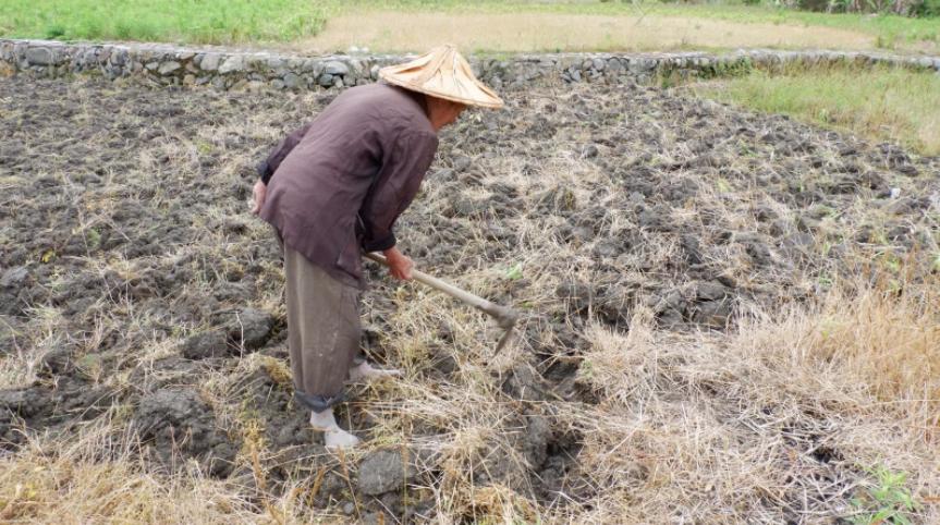 四川重庆，1名36岁的男子，每月定期给父亲寄1000块钱，2箱白酒，昨天给父亲寄