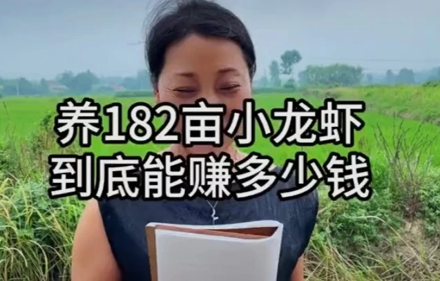 从500元装系统到26万赚快钱：第一批“养龙