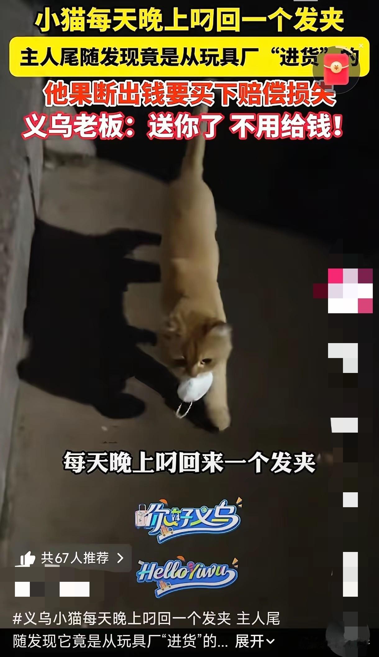 浙江义乌，一男子最近发现自家猫咪有个奇怪的“爱好”，就是每天晚上出去溜达一圈，回