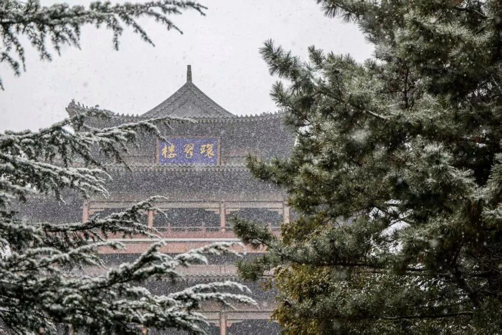 把“冷资源”变成“热经济”，烟台、威海凭借“雪窝子”出圈了！