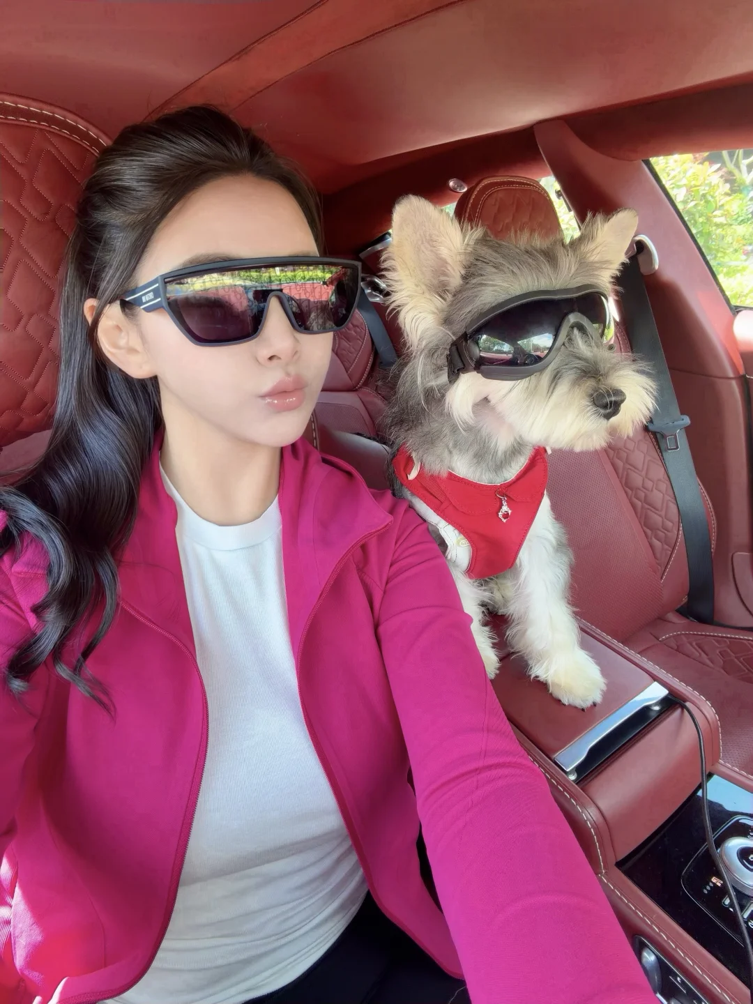 拥有快乐小狗的春天🐶