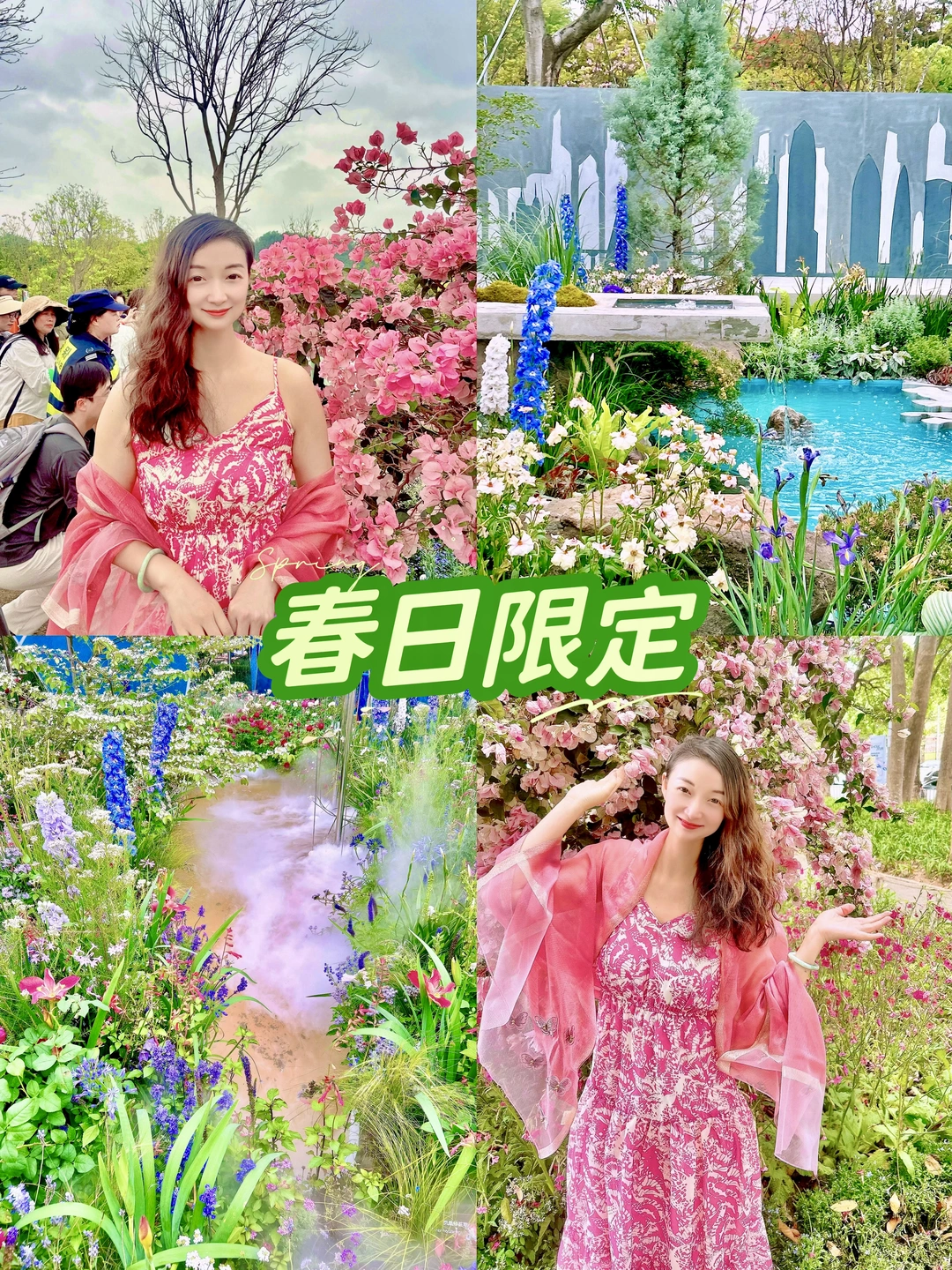 大湾区花展🌺春日一日游攻略请查收✅