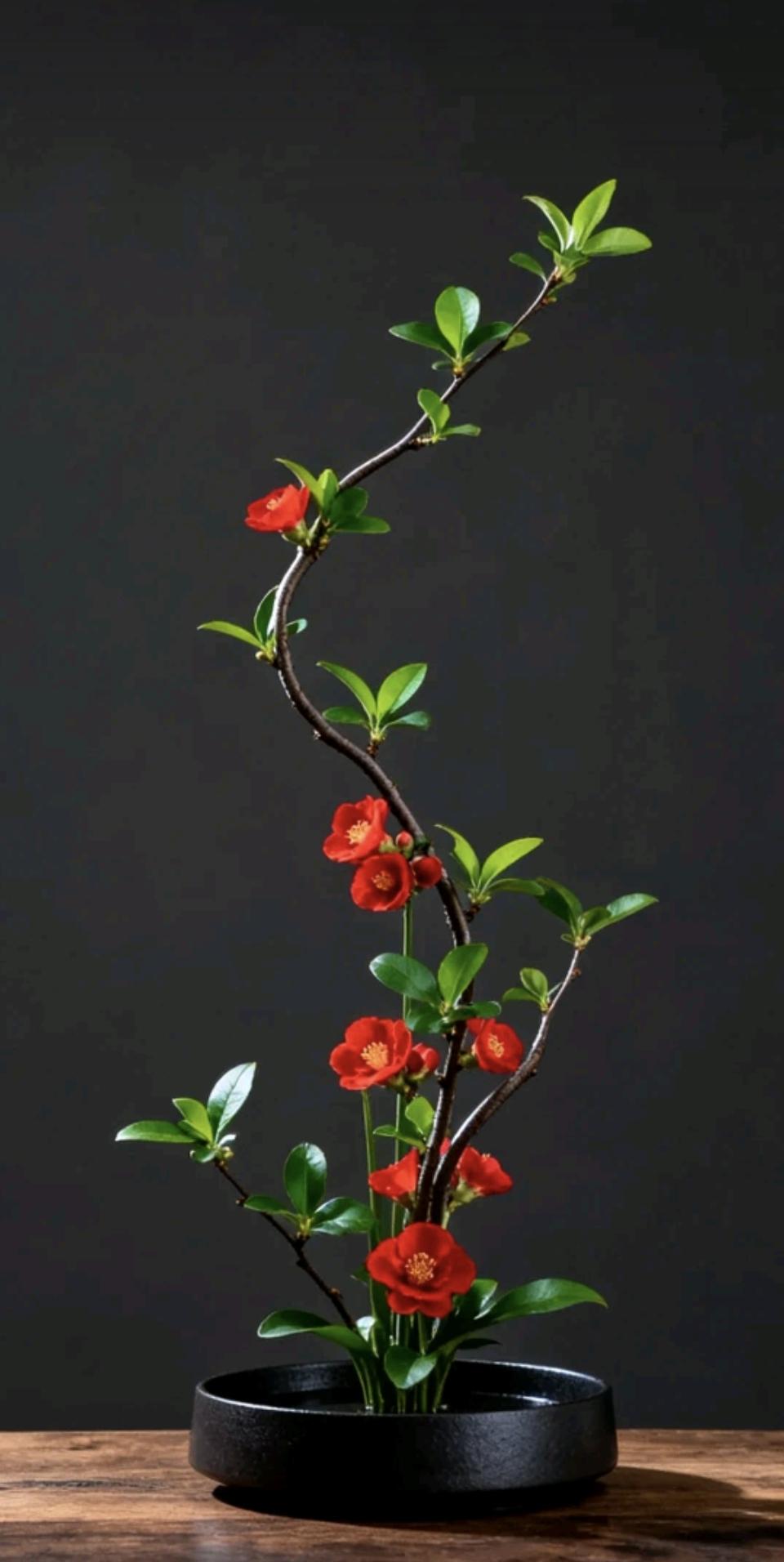 “佛弟子必看！这样用孩子的眼睛理解父母，家庭关系秒变和谐”

大家好，今天咱们聊