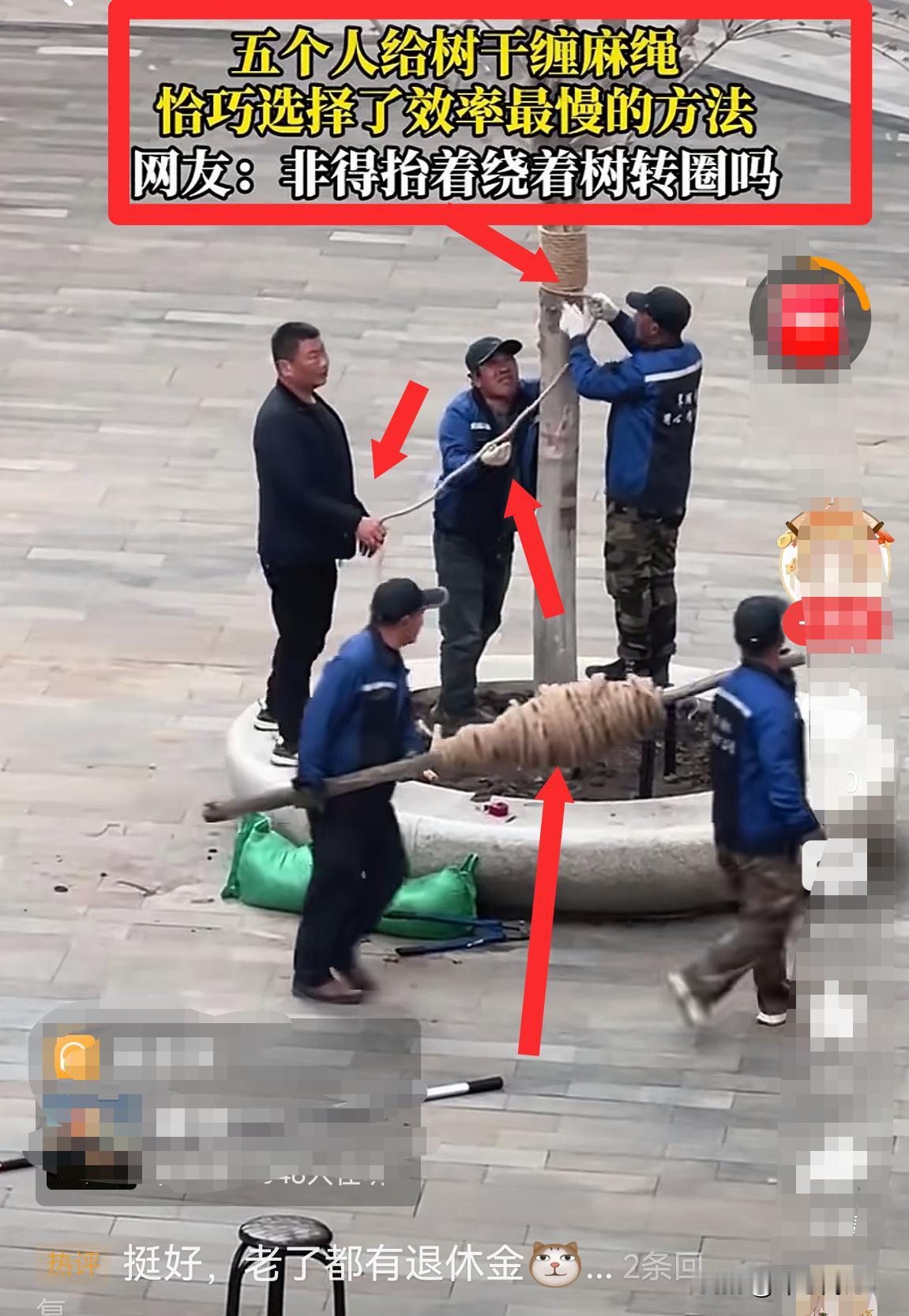 和谐｜5个人互帮互助，绳子缠树——1人缠绳，2人传绳，2人抬绳，反正下班时间还没