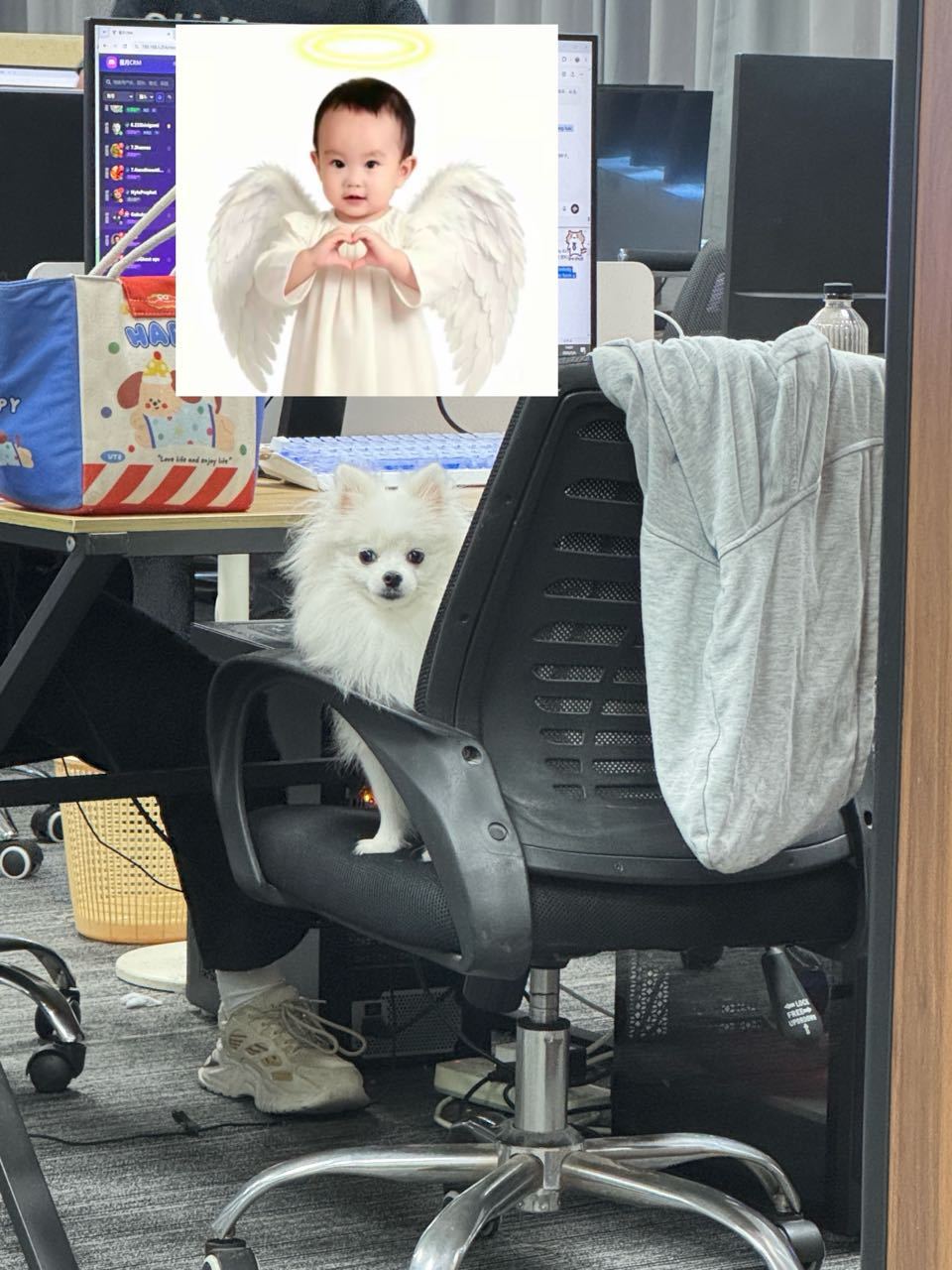 带绵绵上班 