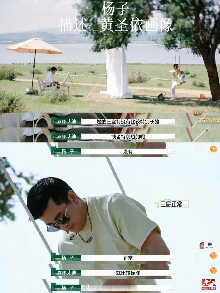 #杨子 七个字概括黄圣依#画师要画出扬子心中的黄圣依，就认真询问他黄圣依五官的特