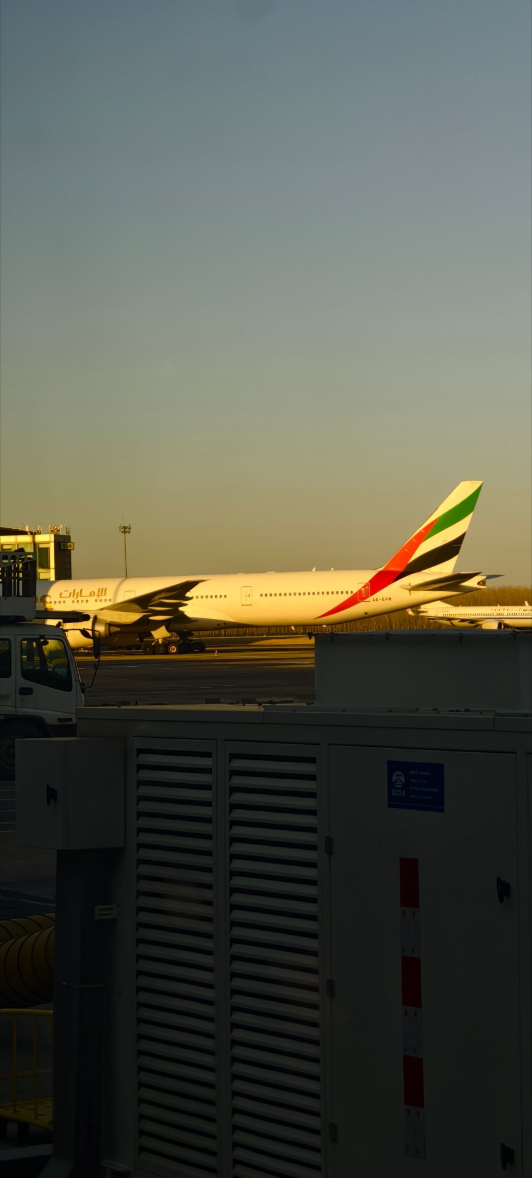 八成暂时飞不回去了～ 