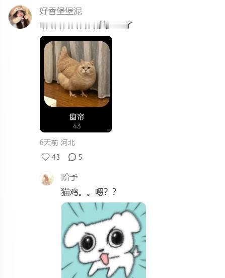 oppo你的智能分类到底智能在哪 
