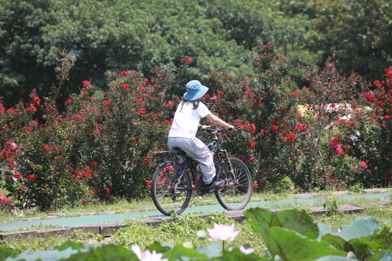终于松了口气，认识一位家长，她女儿广州越秀区公务员，特别优秀选调生，比我儿子小四