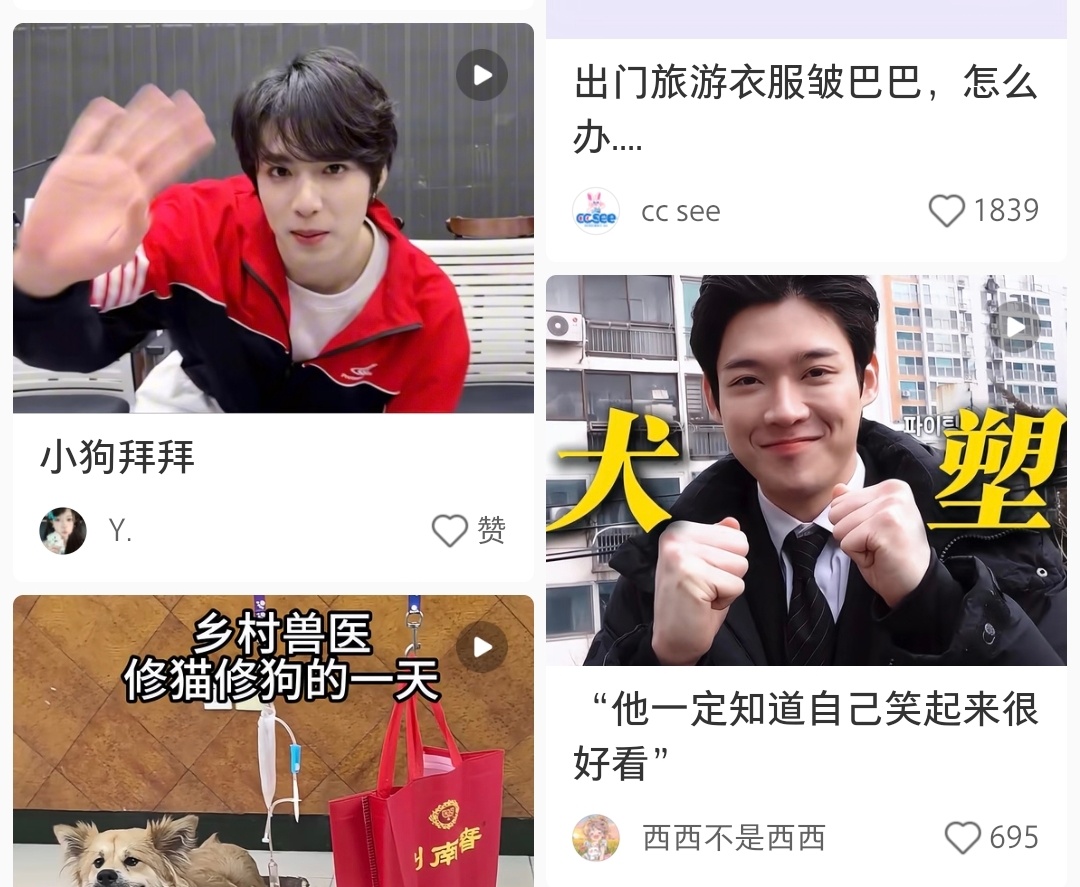 嗯嗯嗯大狗狗和小狗狗 