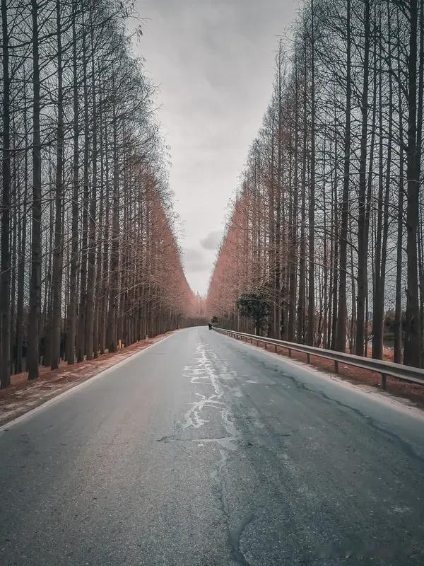 选择决定方向，行走赋予意义。站在岔路口时，你的选择勾勒出路的轮廓；而每一步踏实的