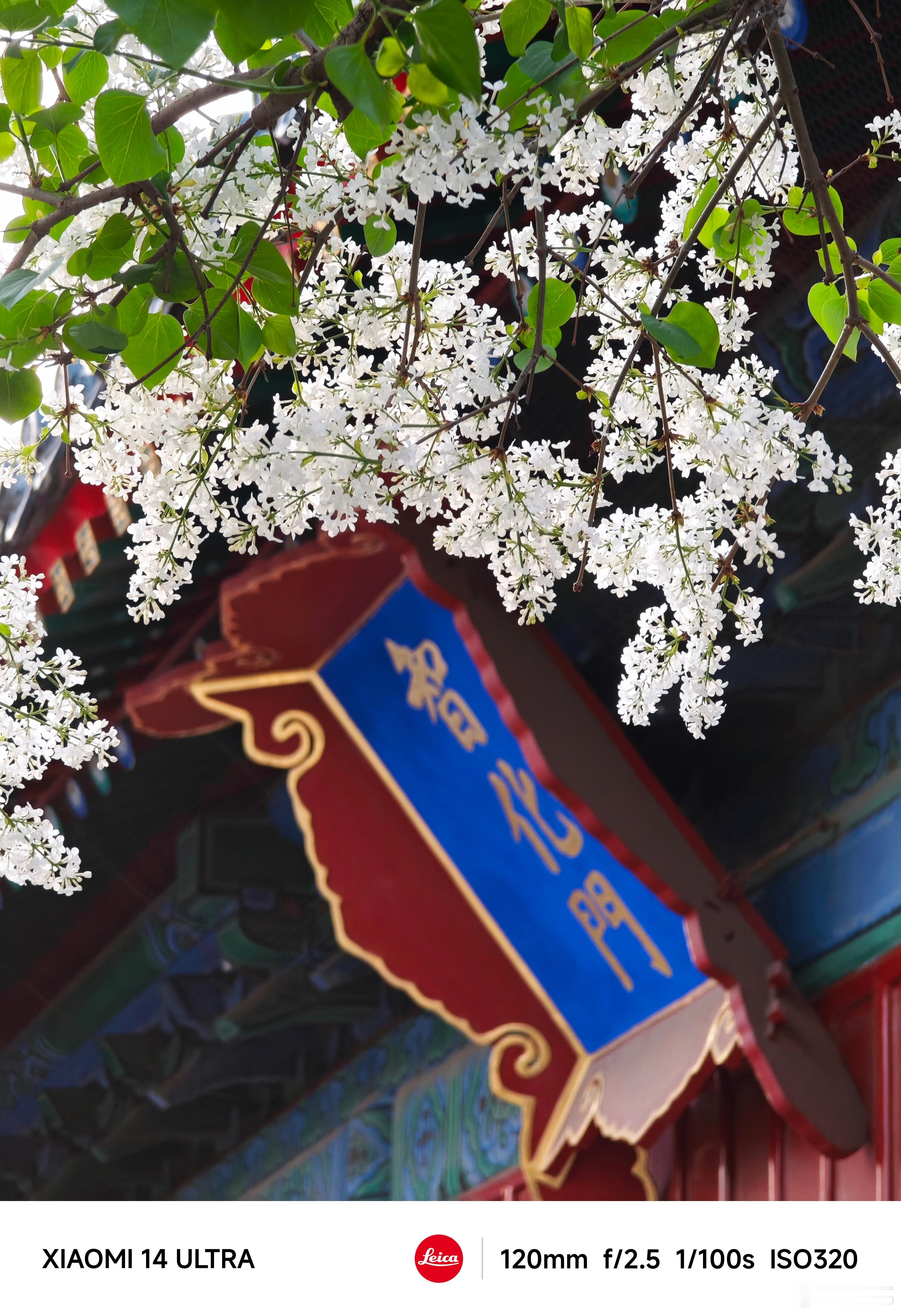 #每天早起打卡#早上好 ​​​