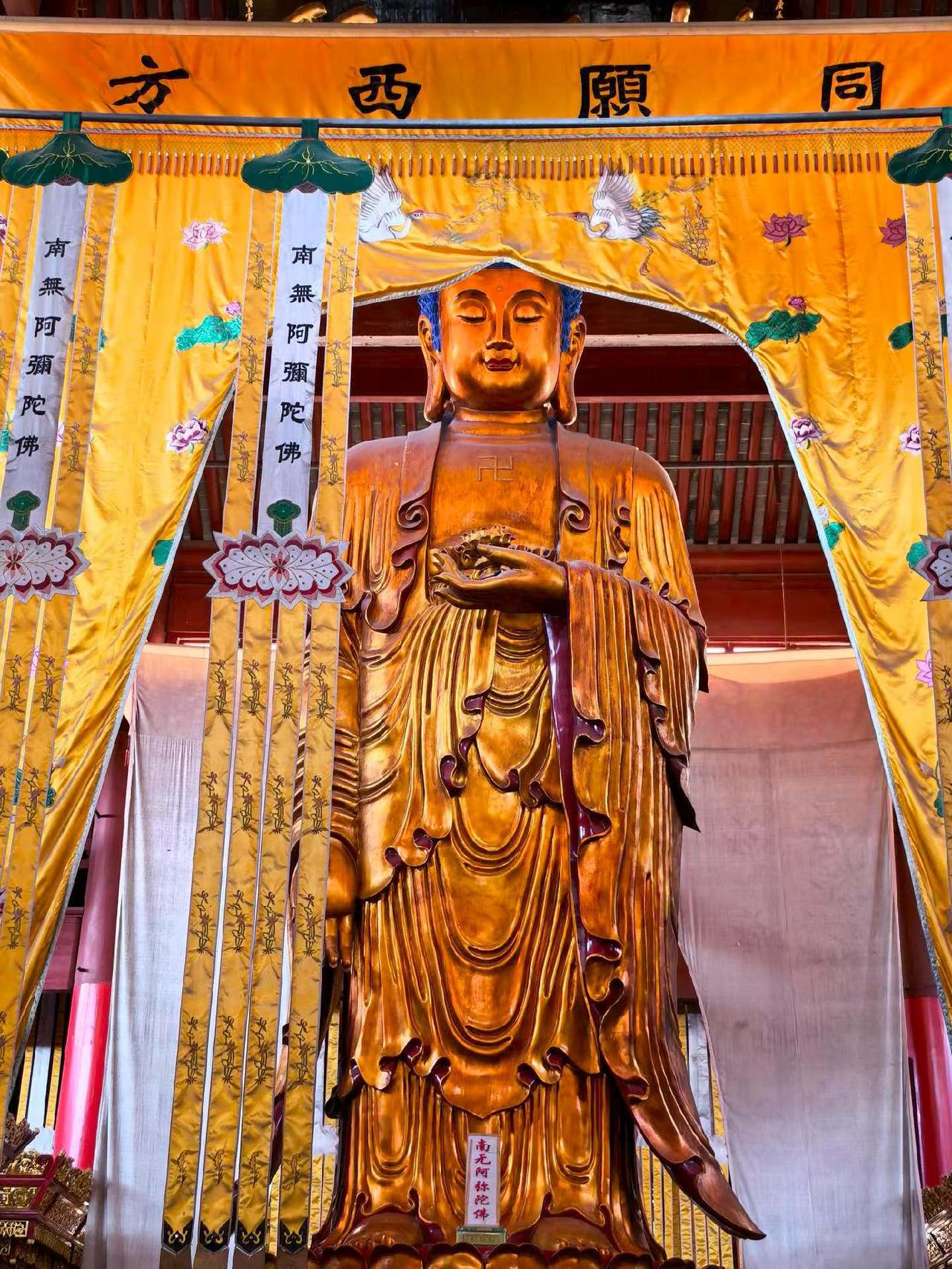 宁波阿育王寺，五百罗汉殿，所供阿弥陀佛像！