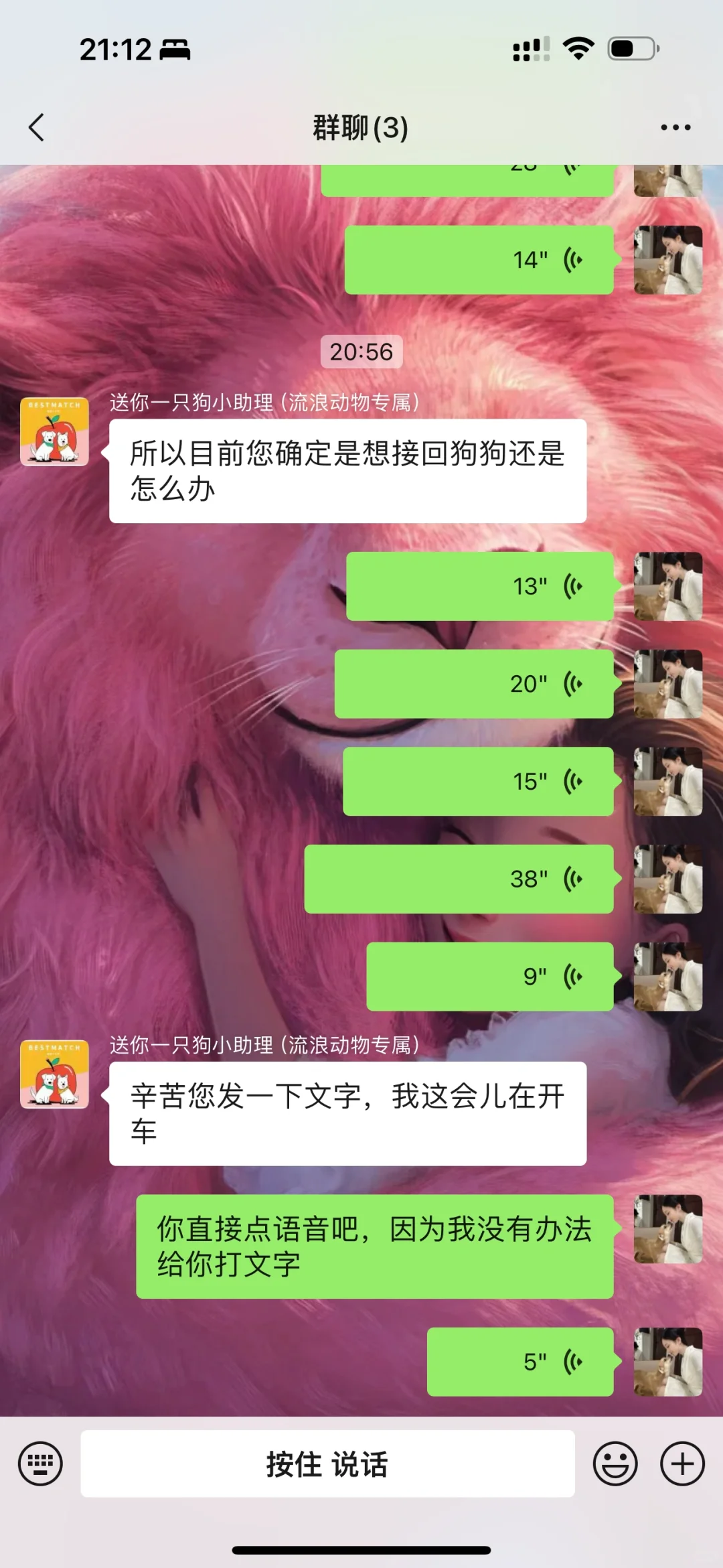 送你一只狗按这效率来我给狗收shi都来不及