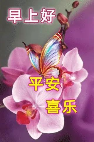 美好的一天，从把握机会开始。
机会在自己手里，不在别人嘴里 。
机会是留给有准备