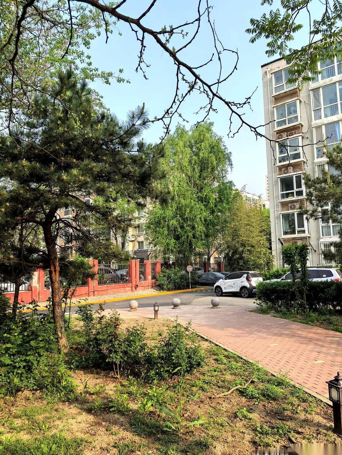 他屋里那股方便面和旧纸张混在一起的味道，隔着门缝都能钻出来。
一摞摞发黄的稿纸堆