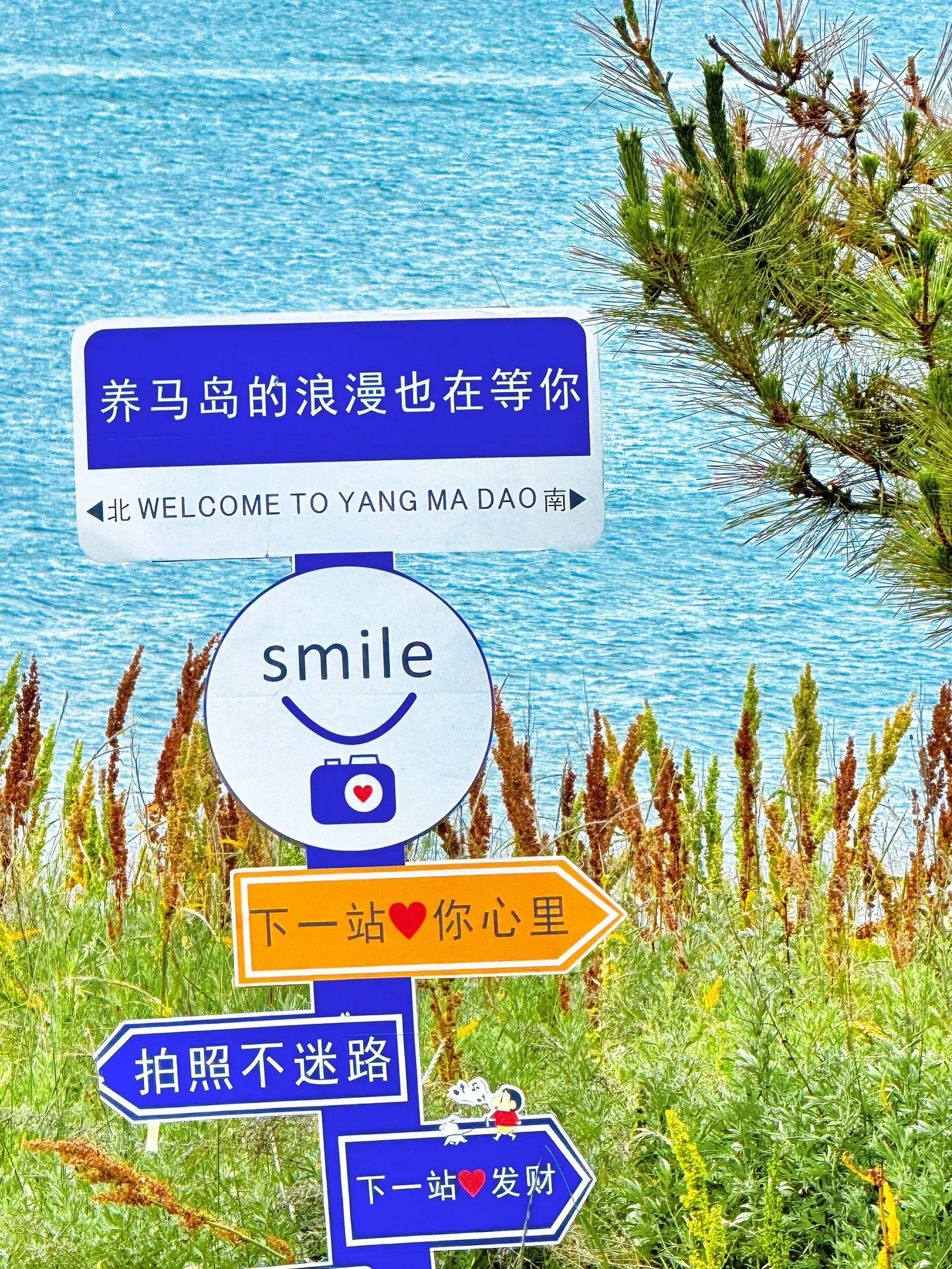 带你去旅行。陪你去认识世界 希望你长大以后 朦胧的记忆里填满了快乐🎉