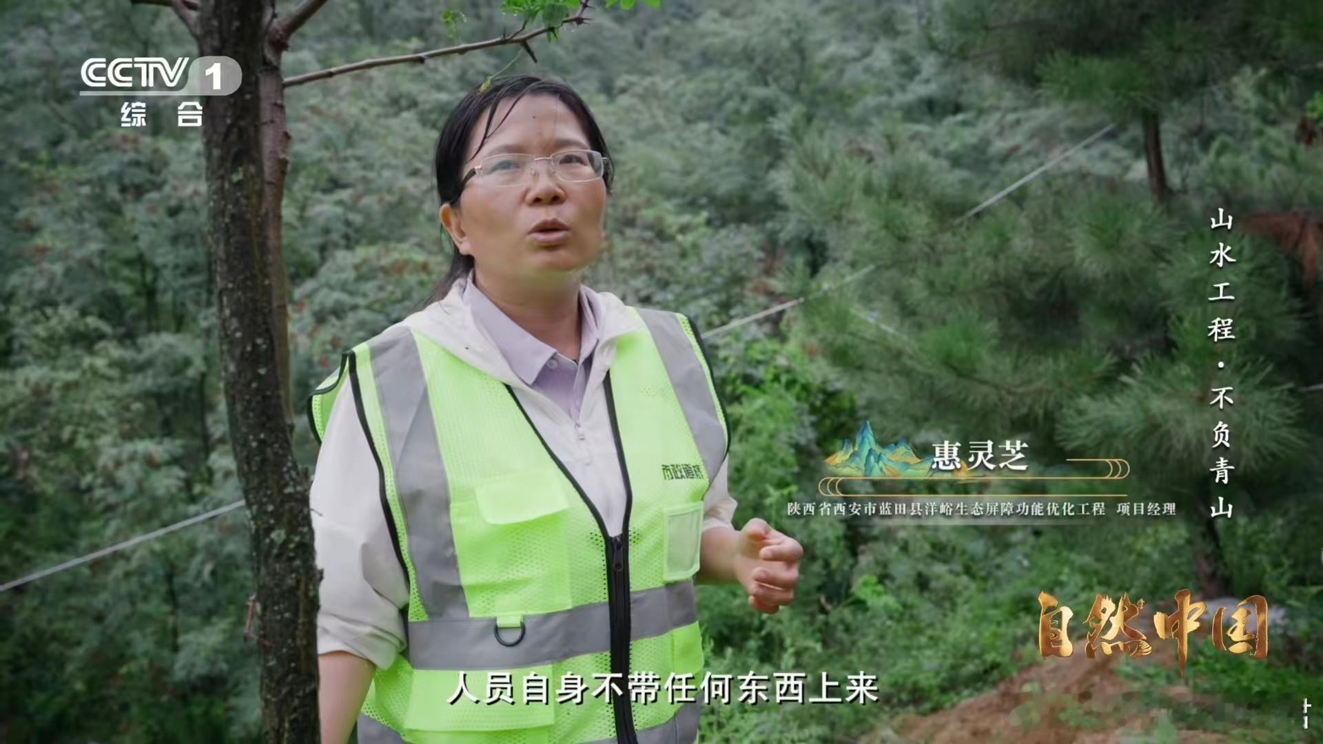 秦岭深处树在天上飞树苗坐无人机空降 飞跃峡谷，播撒新绿。无人机成为造林生力军，以