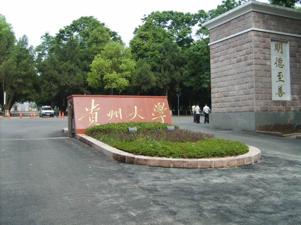 新疆大学和贵州大学，为何不值得报考？