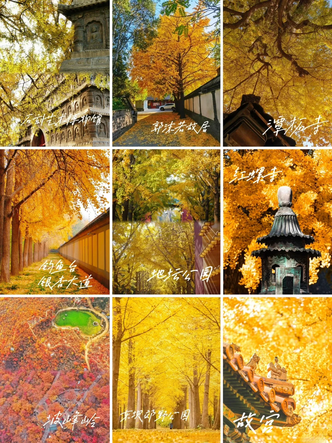 人间建议：一定要去这几个宝藏北京赏秋地🍂