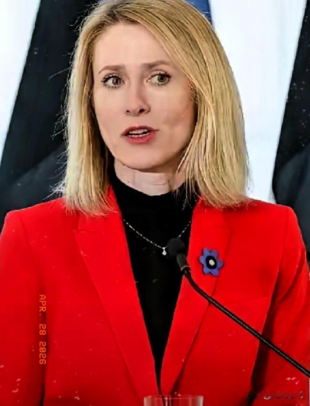 欧盟高官要带头打响对俄罗斯清理战，得到爱沙尼亚响应，主张对俄罗斯彻底关上这扇门。