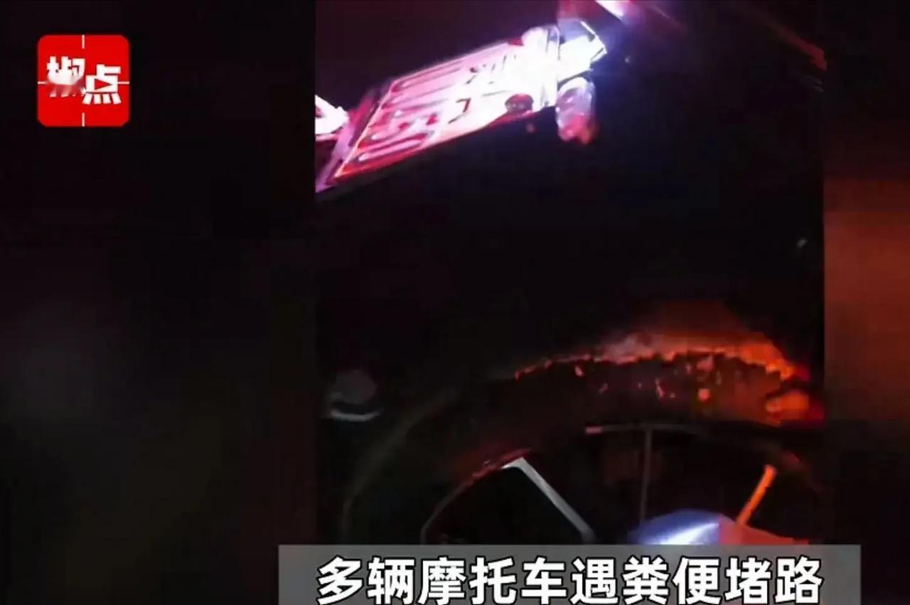 “这次真是屎里逃生。”11月11日，贵州，网传多辆摩托车深夜骑行遇粪便堵路，有网