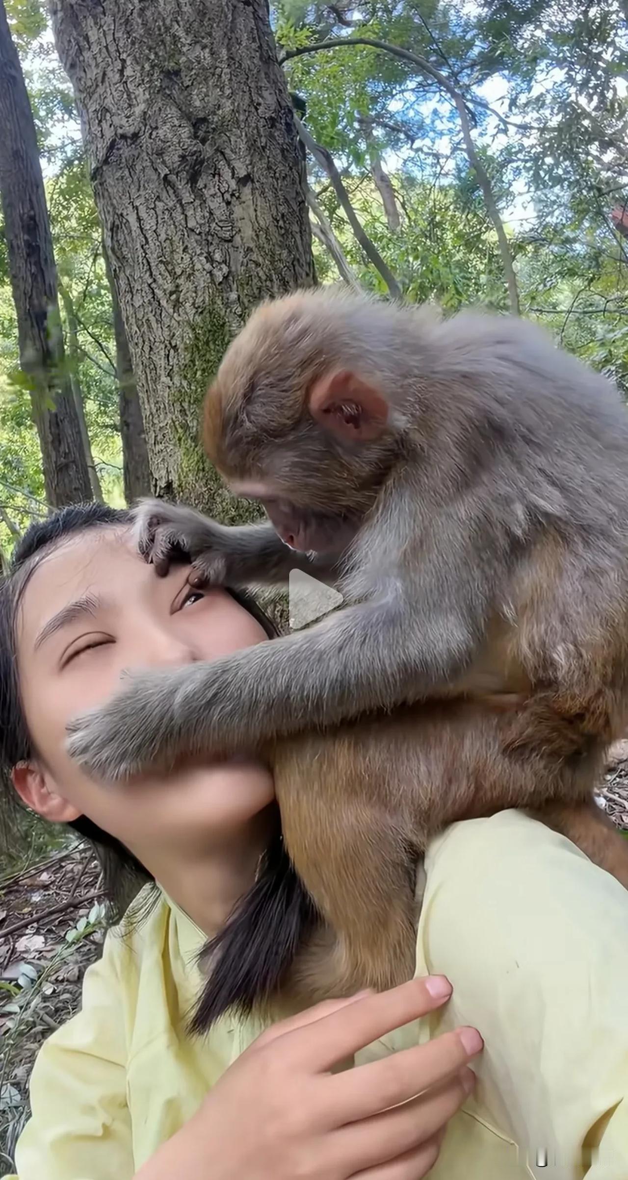 猴哥：别动，美女你眼睛里进了东西，我帮你吹一下。

这画面看着又暖又有点搞笑，小