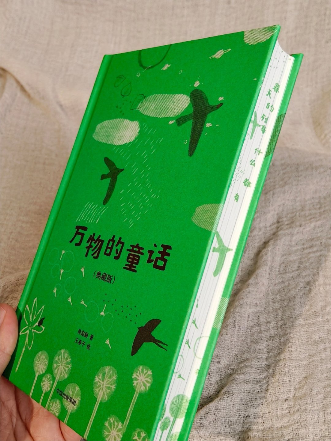 薄荷绿小书｜把整个夏天藏进诗行里 