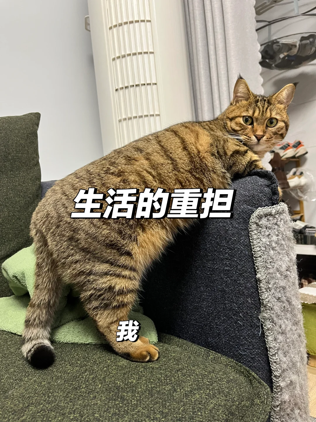真是累了  看什么都像自己