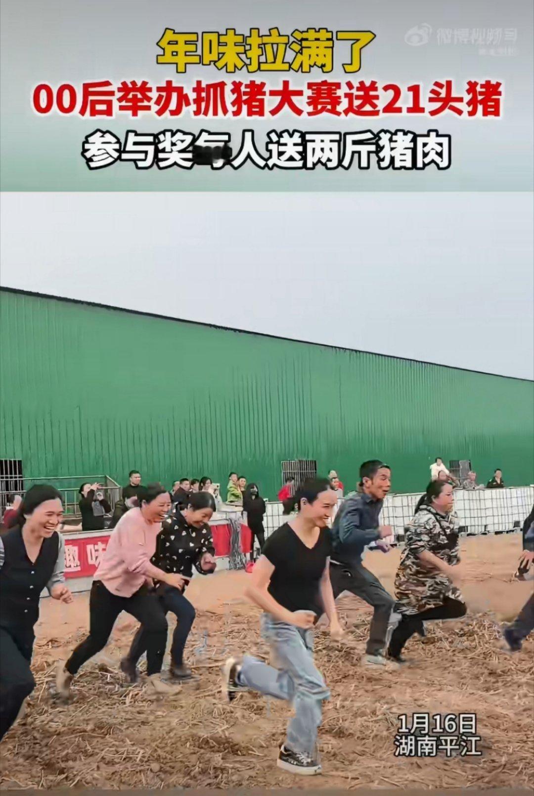 这场抓猪大赛真的把年味拉满了！00后老板的这个想法太有创意了，既让员工在抓猪的过