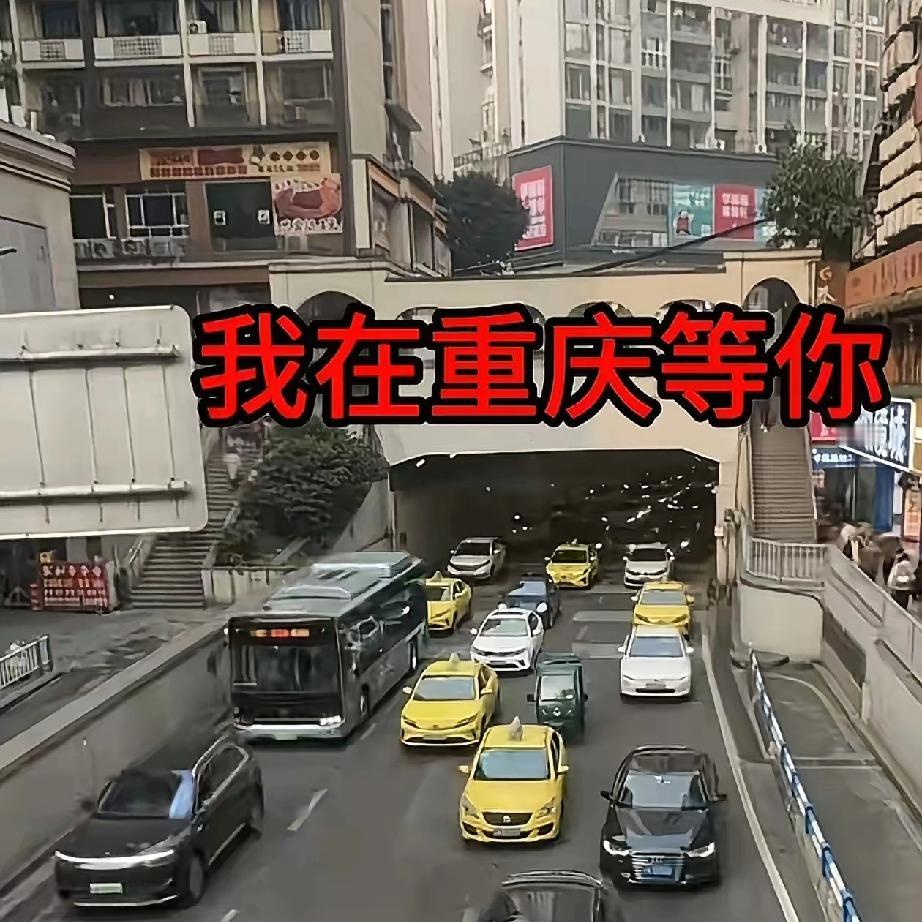 呆呆终于发视频
开始上班啦
2026年第一个破圈的网红，是把流量活成人间清醒的重