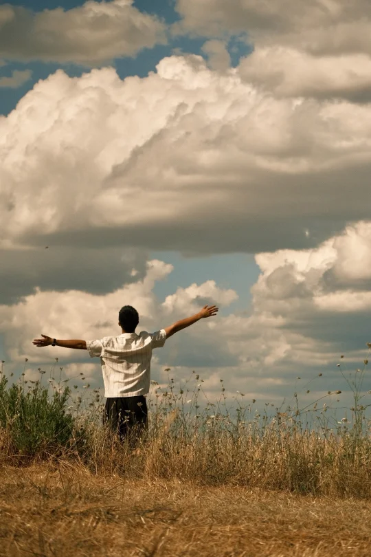 托斯卡纳 | 宫崎骏的盛夏