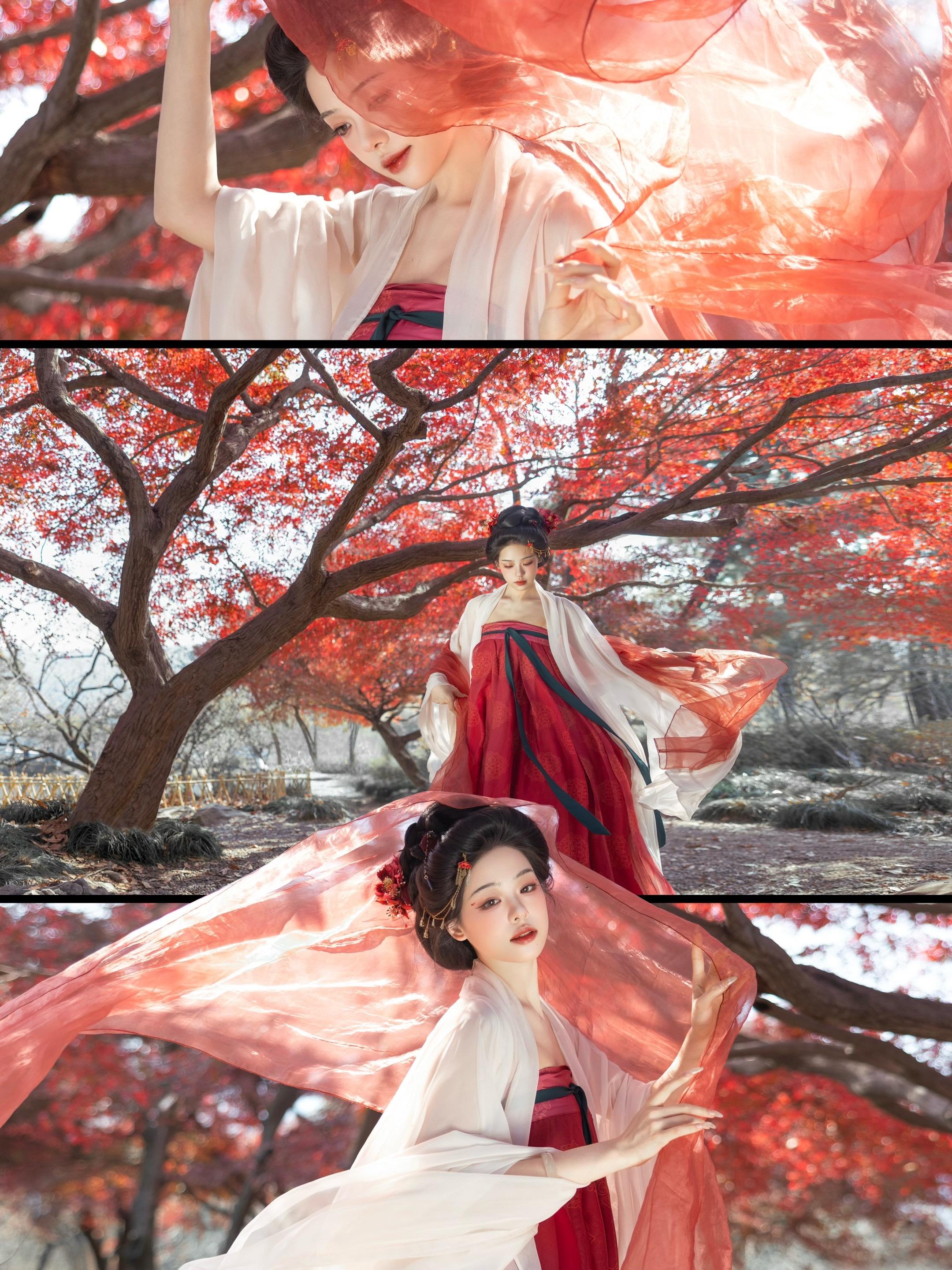 ‘ 狂风落尽深红色 ’来花港观鱼拍枫叶啦，超美超多人