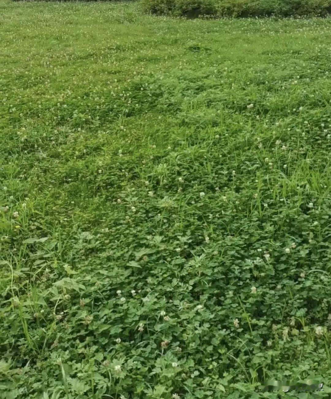 日子像杯温水，不冷不烫才舒服，太急着喝会烫嘴，晾太久又没味，没人能替你喝，也别逼