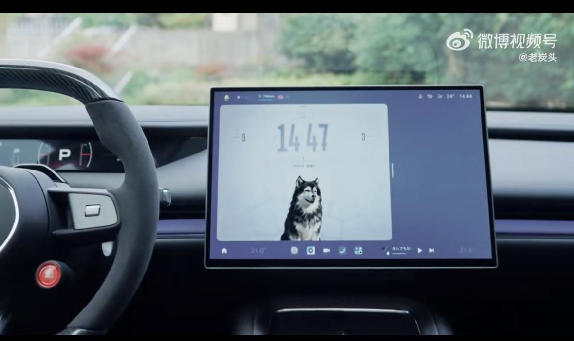 养宠物的老铁应该都知道，从带宠物回家的那天起，就在倒计时了。所以特别希望，能多带