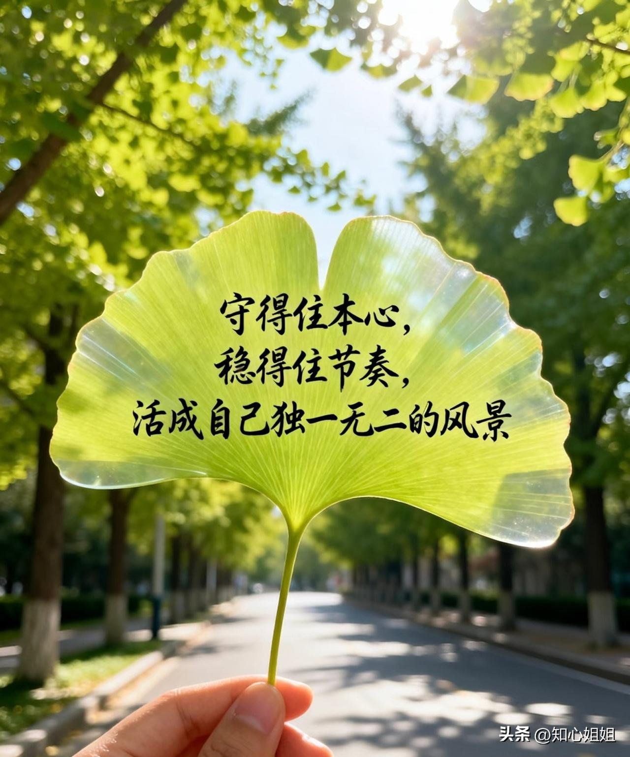 特别扎心的一段话：“你现在的焦虑，多半是因为你既没能力改变现状，又没勇气推翻重来