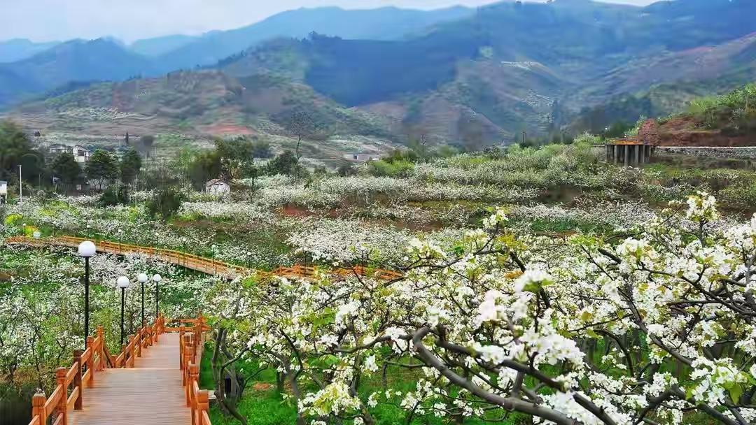 退休儿媳搬走，婆婆急了，家里的平衡崩了。

沈娟走了，没吵架也没留字条，收拾几件