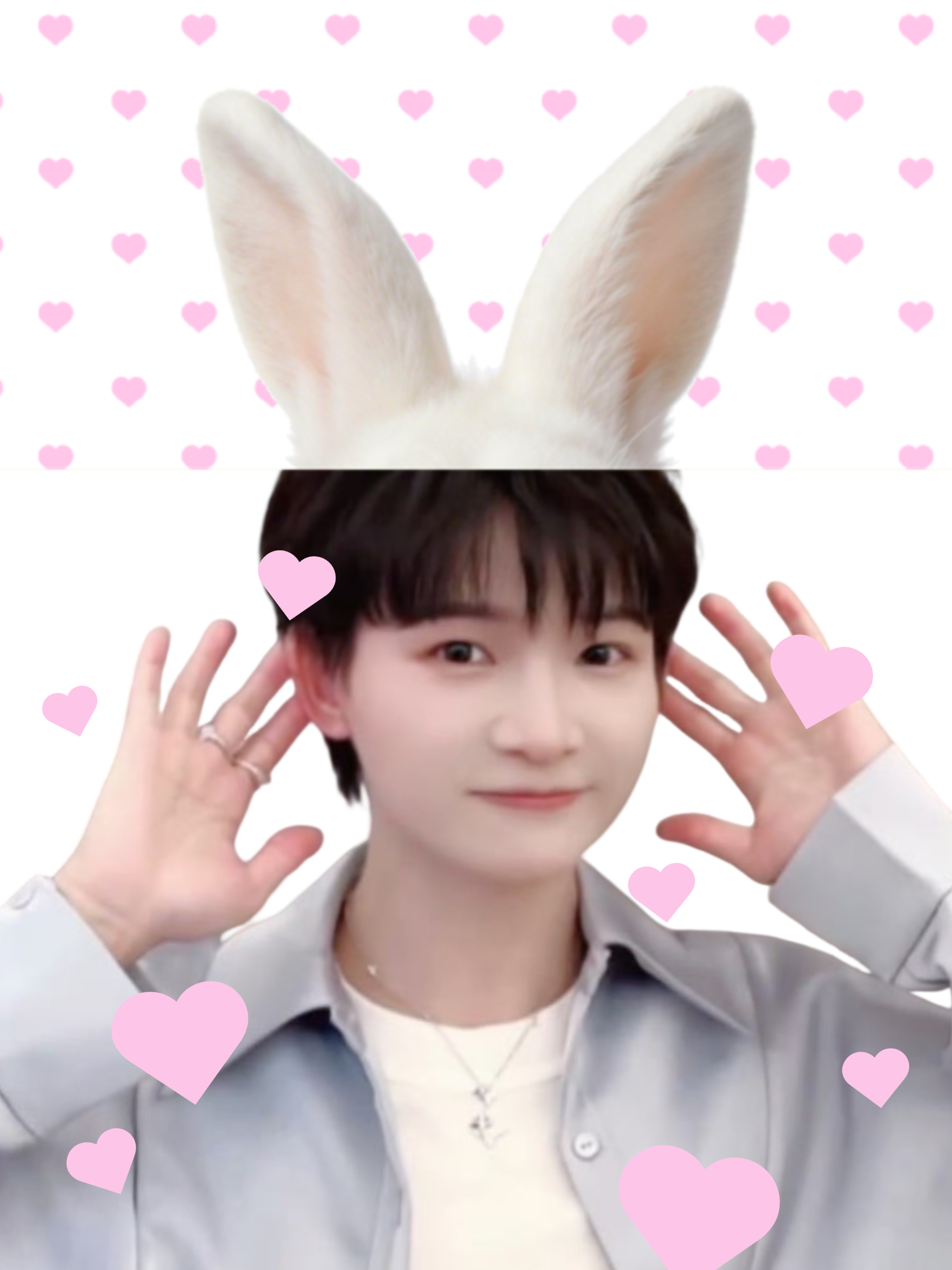 小兔宝宝or小猫宝宝二选一我选不了一点，直接All in🥺 