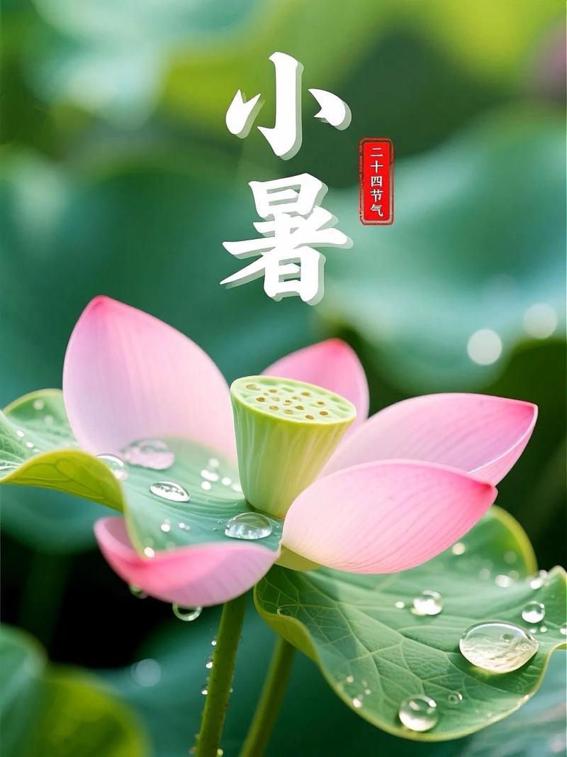 度夏.有感
7/11/五/廿七/多云转阴/吉祥
五月未尽伏未至，
气温堪比体温高