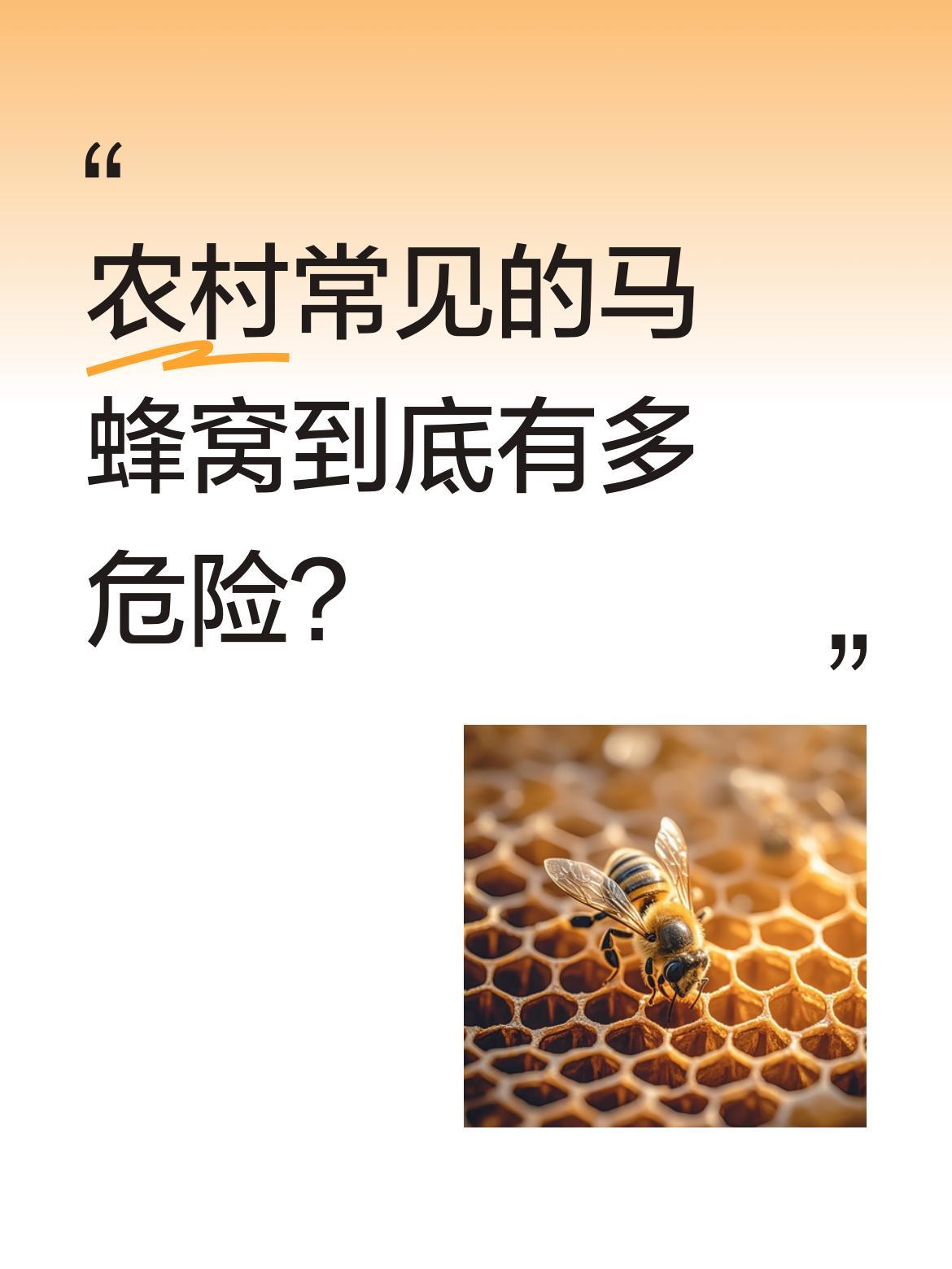 农村常见的马蜂窝到底有多危险？
最近有网友分享农村生活视频，提醒大家遇到马蜂窝一
