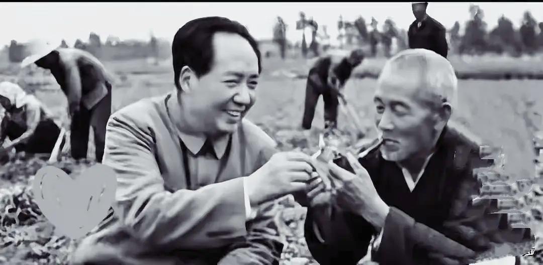 一张田间旧照尽显赤诚，笑容随和接地气，读懂伟人扎根群众最质朴的初心

珍贵历史老