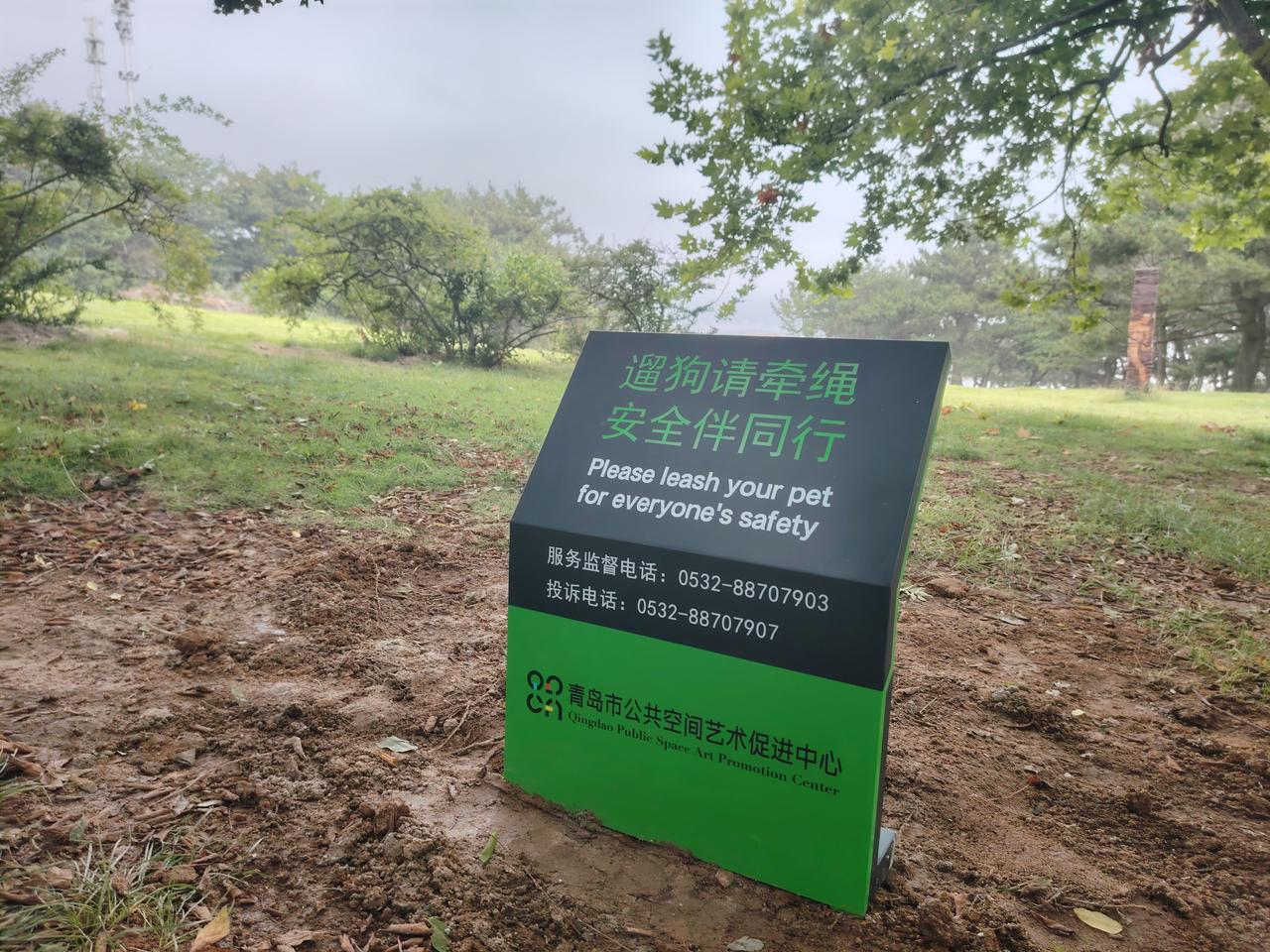 遛狗请牵绳，安全伴同行。