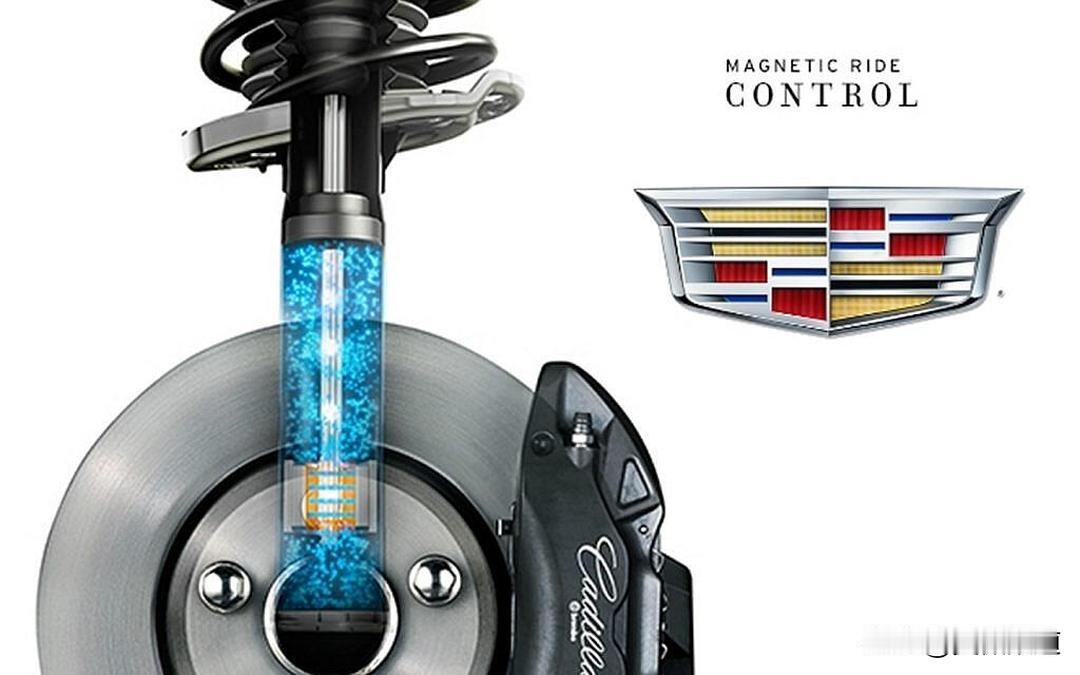 今天看了一辆车，用上了国产品牌的磁流变减震器。
还没试，不知道会怎么样，下个月去