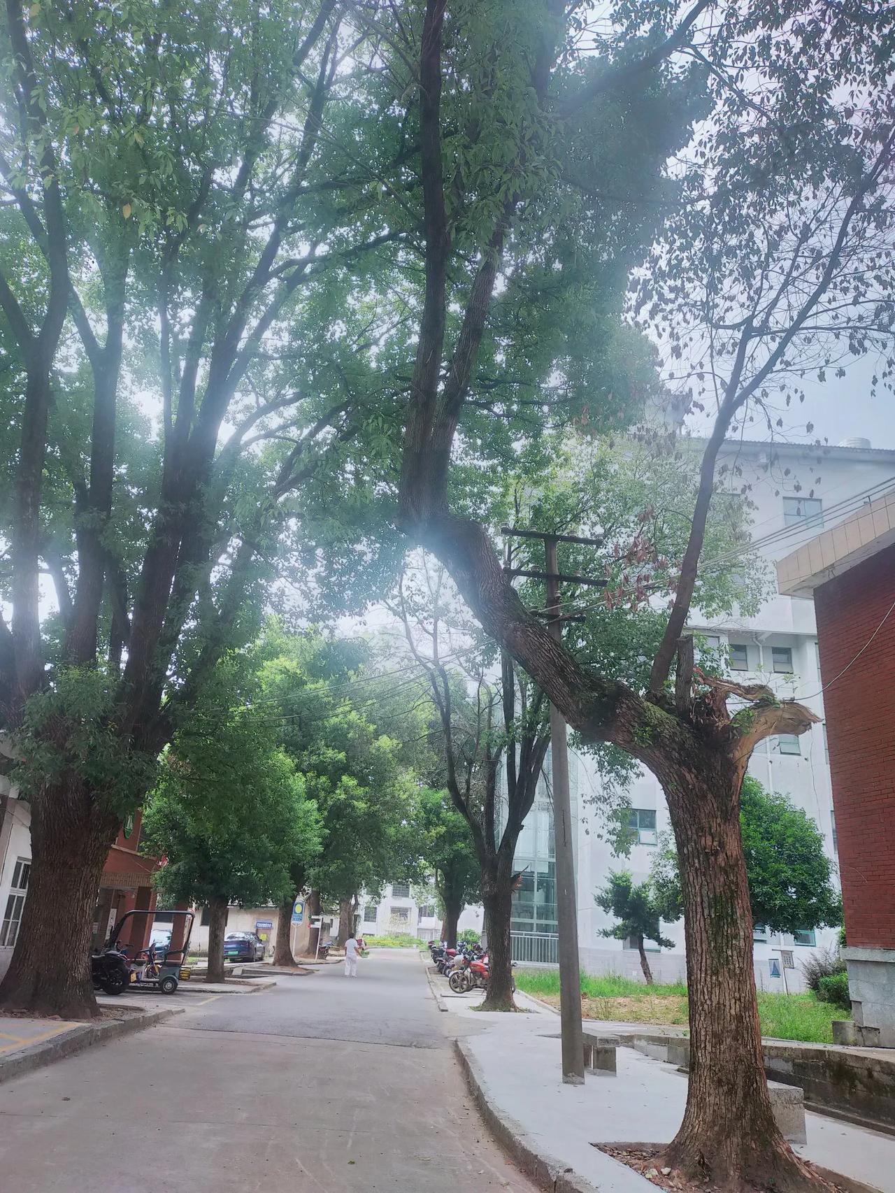 #面对衰老,最好的态度是什么?#
面对衰老，最好的态度是不在意。

没有人能永远